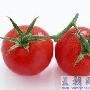 吃什么食物容易减肥 减肥_美丽顾问