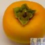 晚上吃水果减肥吗 减肥_美丽顾问