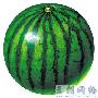 晚上吃西瓜减肥吗 减肥_美丽顾问