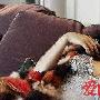 这样睡觉让女人加速衰老！ 生活_美丽顾问