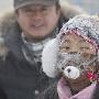 内蒙古根河市气温零下45摄氏度 温馨小家来温暖 家装_美丽顾问