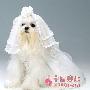 看80后的另类新婚单品 婚嫁_美丽顾问