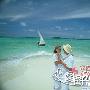 好莱坞爱情电影串起温情蜜月爱之旅 婚嫁_美丽顾问