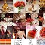 2010冬季最火6种主题婚礼色彩搭配方案(组图) 婚嫁_美丽顾问