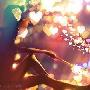 女人甩掉男人最猛辣的N种方法 爱情_男女情感