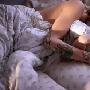 女人要拒绝前男友的暧昧 爱情_男女情感