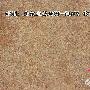 复古风潮 亚细亚瓷砖BP-60205评测 测评_居家装饰