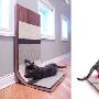 专为猫咪的创意 猫咪专用玩耍沙发 家品_居家装饰