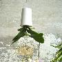 Sky Planter 倒挂节水盆栽 家品_居家装饰