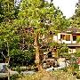 古色古香 松竹环绕的日本住宅 家居_居家装饰