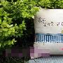 宅女至爱 4款超可爱卡通抱枕 家居_居家装饰