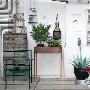 将阳台打造成清新花房 过滤你家的空气 软装_居家装饰
