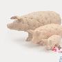 四款古灵精怪的家饰 家庭生活充满乐趣 软装_居家装饰