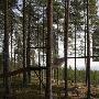 Tham  Videgaring;rd Arkitekter作品欣赏 打造瑞典哈拉兹树上旅店 作品_居家装饰