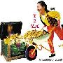 李娜今年吸金逾两亿元 姚明刘翔已成浮云 明星_娱乐报道