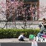 姜文和两儿子玩耍尽享天伦 收霸气安静变慈父 明星_娱乐报道