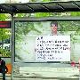 网友熬鸡汤向范冰冰求婚 秒杀广告牌疑炒作 明星_娱乐报道