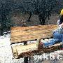 郑秀文与许志安每天通电话 坦言害怕结婚 明星_娱乐报道