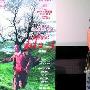 《HELLO树先生》首映 韩杰：我要的就是没逻辑 电影_娱乐报道