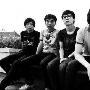Dish乐队解约后再战 全新大碟将震慑内地乐坛 音乐_娱乐报道