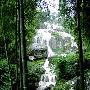 世纪佳缘季度恋爱指数报告发布 华东区域表现平平 快讯_娱乐报道
