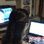 造型Stpe5 看！这样的马尾是不是很好看？ 造型Stpe6 发型_美丽顾问
