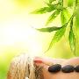 头发干枯头发干枯推荐：蜜枣核桃羹做法：蜜枣250克、 生活_美丽顾问