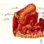 最易患癌部位3：胃除了盐、盐腌食物、红辣椒、加工肉 生活_美丽顾问
