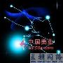 十二星座12月吉凶运提示金牛座没有什么比频繁变动计划 生活_美丽顾问