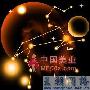 十二星座12月吉凶运提示狮子座你对动荡环境的本能反应 生活_美丽顾问
