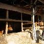 韩国农村人的真实生活 回到首页 从大田市中心出发，行 家装_美丽顾问