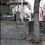 回到首页 大树爱挡道，谁也拦不住 回到首页 小偷最爱 家装_美丽顾问