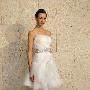 幽谷清风，Oscar de la Renta 2011秋冬婚纱发布(2) 婚嫁_美丽顾问