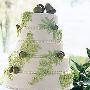 婚礼蛋糕色泽清新淡雅，与绿白的婚礼色调相符。养眼 婚嫁_美丽顾问