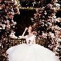 珍妮·帕克汉 (Jenny Packham) 2011春夏婚纱系列广告 婚嫁_美丽顾问