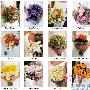 花艺大师推荐：2011最新新娘捧花(4) 婚嫁_美丽顾问