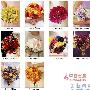 花艺大师推荐：2011最新新娘捧花(6) 婚嫁_美丽顾问