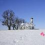 二、日本北海道：一站式婚礼蜜月之旅 最近两年，许多 婚嫁_美丽顾问
