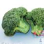 4．西蓝花：丰富的抗氧化剂和植物营养素，有助于保护 营养_美丽顾问