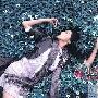 3.治血崩韭菜5两，煮糯米酒服之。                   营养_美丽顾问