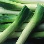 葱属植物大蒜、葱、洋葱及其他葱类含有一种特殊辛辣成 营养_美丽顾问