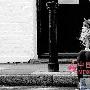 我想我跟玛格丽特&middot;米切尔一样，遇到了一个 围城_男女情感