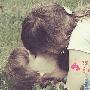 5、在最近的一项针对20-60岁男性的调查中，大部分的 男人_男女情感