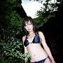 五、“坏”女人很自由 菩提本无树，明镜亦非台。本来 爱情_男女情感