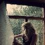 女人都荣于说爱而耻于谈性 女人别拿不靠谱的爱情害 爱情_男女情感