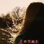 四、毛发柔软 发质倾向柔软，个性会很柔和，比较不会 爱情_男女情感