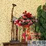 2、沙发或枕畔的风景线蕴涵天地灵气的花草最容易让人 装饰_居家装饰