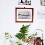 5. 绿意葱葱花材：芒叶、铁线蕨、芦荟制作：将家里一 装饰_居家装饰