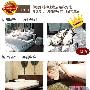 外观对比：冷艳独特 VS 地毯式生活对比结果：伊丽伯 测评_居家装饰