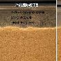 为了测试地板的防水性，测评员在地板接缝处倒入清水 测评_居家装饰